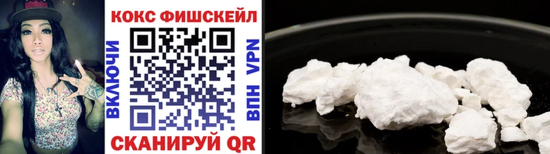 COCAIN Fish Scale  Купить где  Окуловка 
