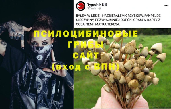 трава Вяземский