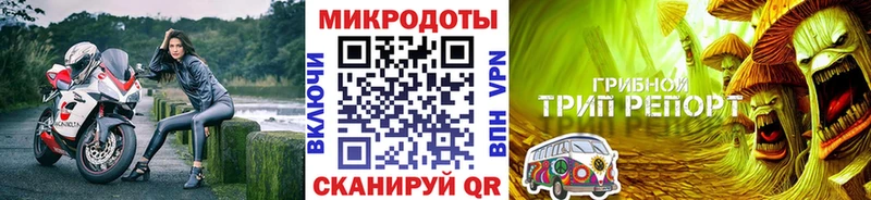 Псилоцибиновые грибы Psilocybe  Купить  Окуловка 